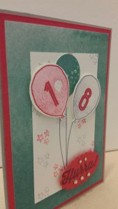 20160205_194752_resized