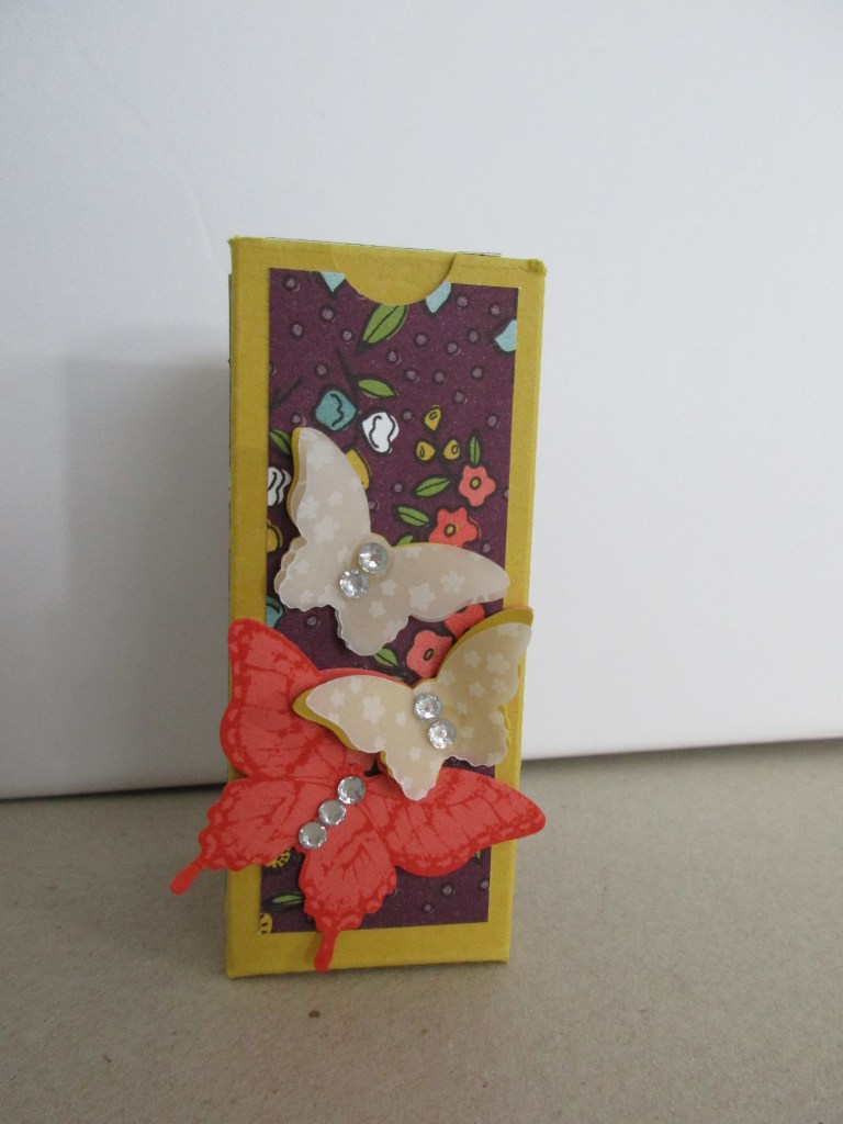 Nagellackverpackung - Totale