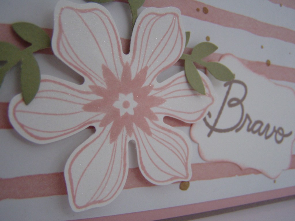 Die Zierblüte von nah