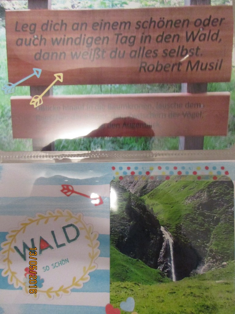 Wald und Wasserfall - mehr brauchen wir nicht