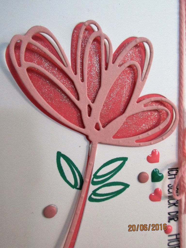 Grüße voller Sonnenschein - Nahaufnahme der Blume