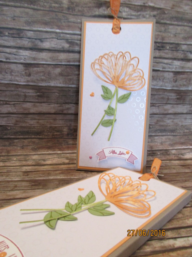 die beiden Verpackungen