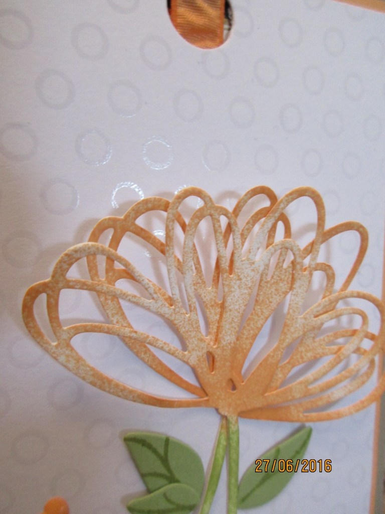 die eingefärbte Blüte und das besondere DSP