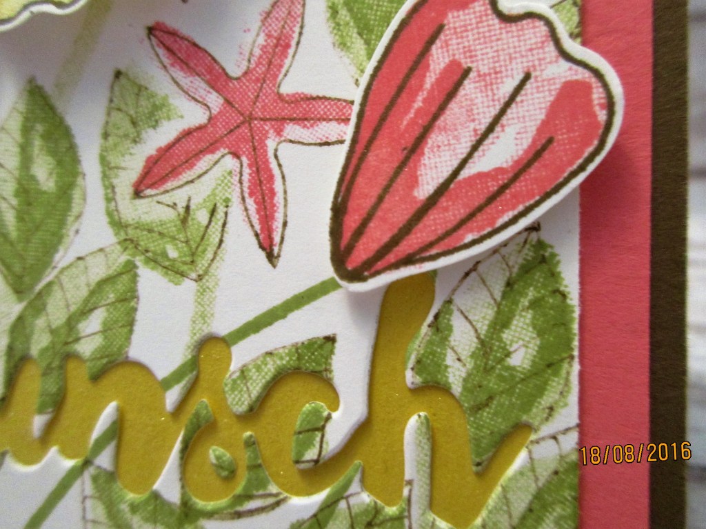 die flamingorote Blüte