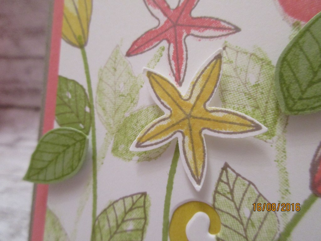 die kleine gelbe Blüte